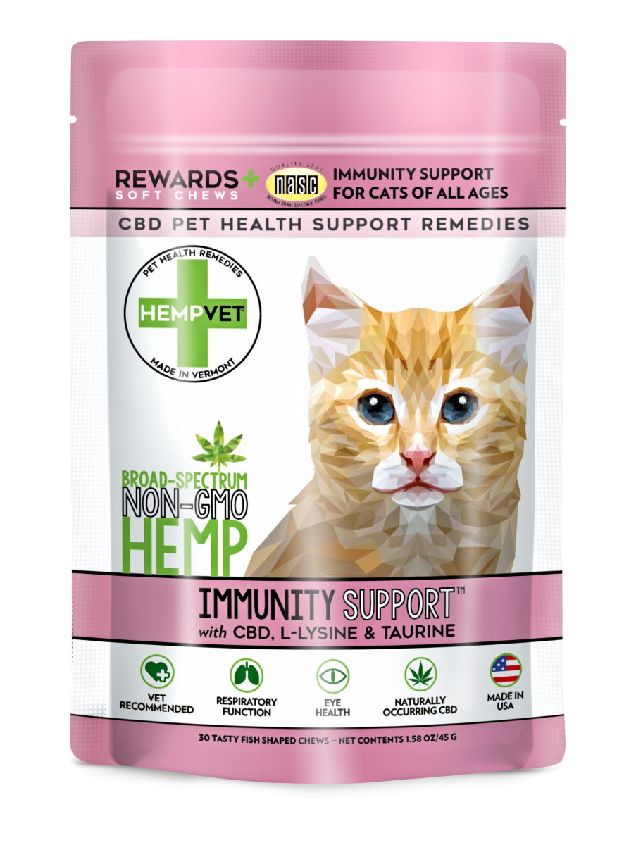 Product Spotlight: 5 Pet Wellness Products You Need to Know About